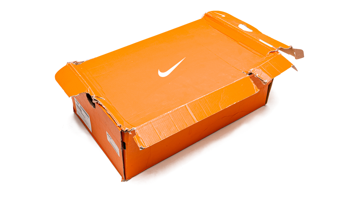 Lebron 9 Low "Arnold Palmer" 338141 836 C
