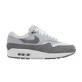 Nike Men's Air Max 1 'Photon Dust Wolf Grey'