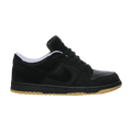 Nike Dunk Low Anthracite Astro
