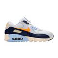 Nike Air Max 90 Essential 'Royal Tint'