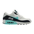 Nike Air Max 90 Esssential 'Aurora'