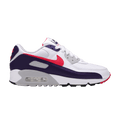 Nike Wmns Air Max 90 Retro 'Eggplant' 2020