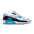 Nike Air Max 90 Retro 'Laser Blue' 2020