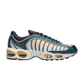 Nike Air Max Tailwind 4 'Deep Green'