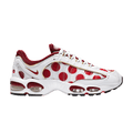 Nike Air Max Tailwind 4 'Nippon'