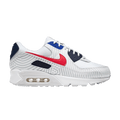 Nike Air Max 90 GS 'Euro Tour'