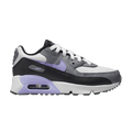 Nike Air Max 90 Leather PS 'Light Thistle'