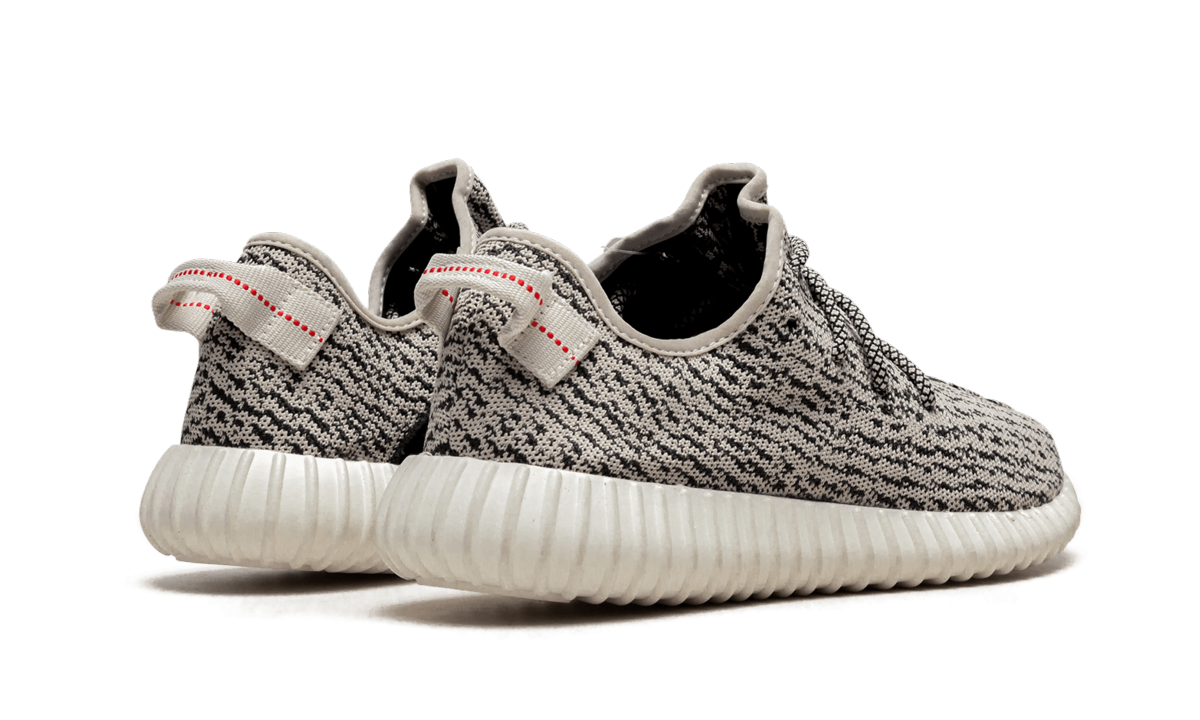 Yeezy Boost 350 "Turtle Dove" AQ4832