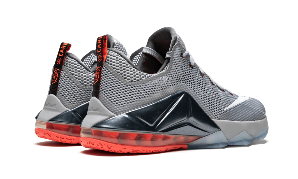 Lebron 12 Low "Wolf Grey" 724557 014