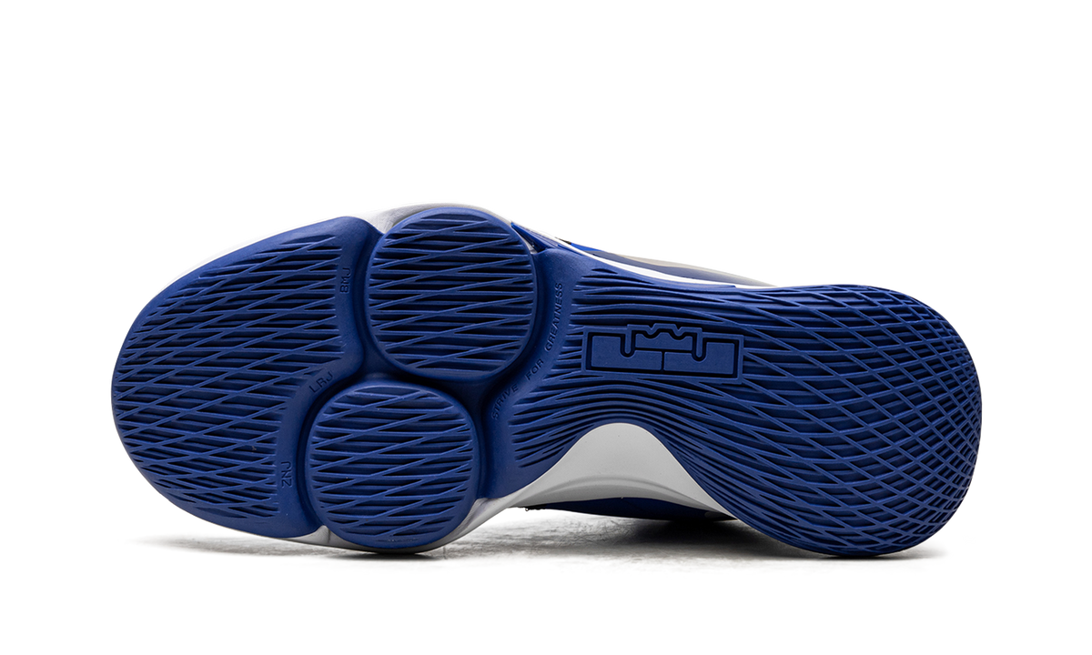 LeBron Witness V CQ9380 400