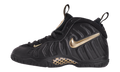 Air Foamposite Pro PS "Black Metallic Gold" 843755 010
