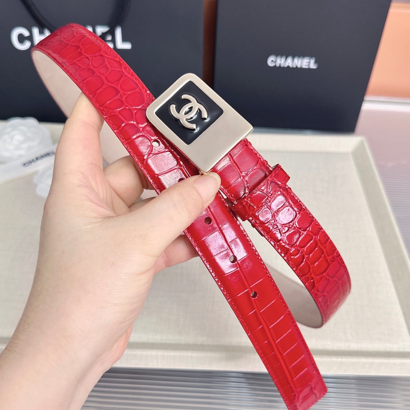 CC 3.0cm Belt Red Crocodile-Embossed 209364