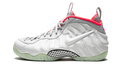 Air Foamposite Pro PRM "Pure Platinum" 616750 003