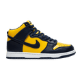 Nike Dunk High Michigan (2020)