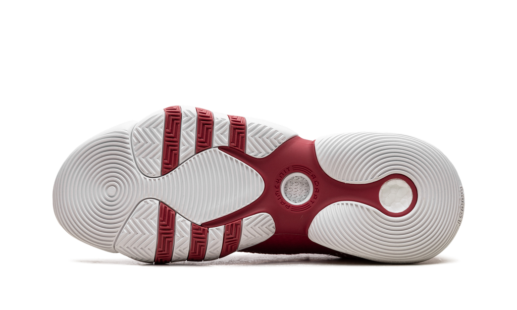 Trae Young 2.0 "Team Power Red" H03845