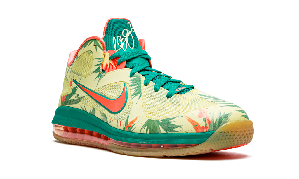 Lebron 9 Low "Arnold Palmer" 338141 836 C