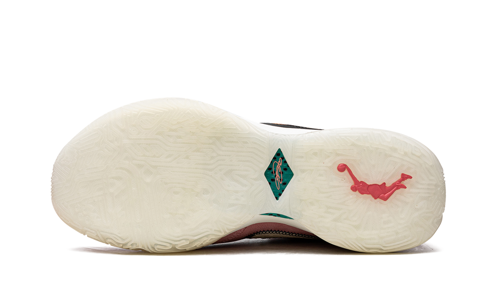 LEBRON 20 "South Beast" DQ3828 900