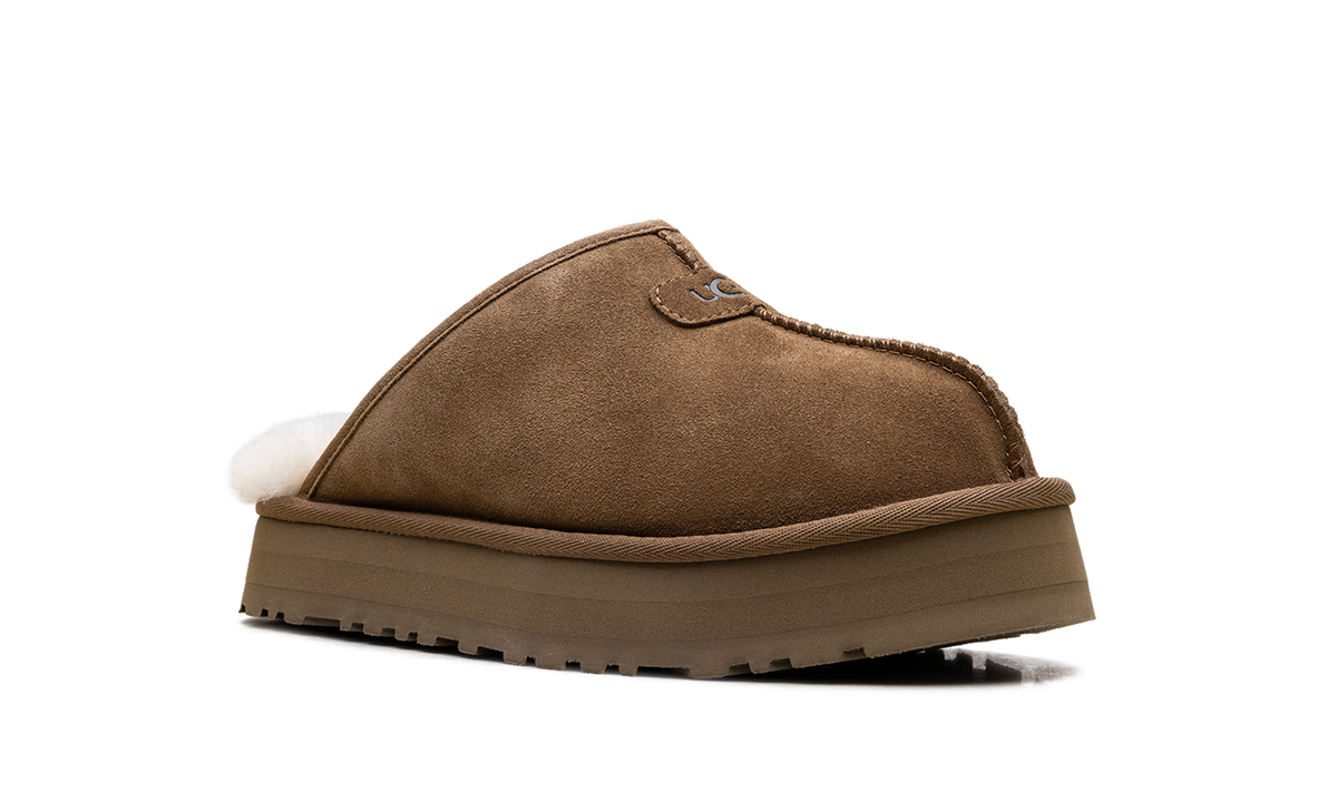 Discoquette WMNS "Chestnut" 1153275 CHE